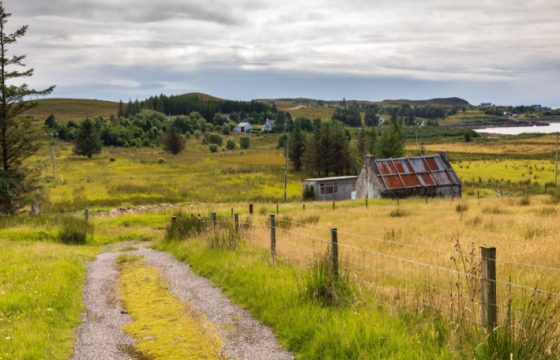 Plot for sale in Port Henderson photo